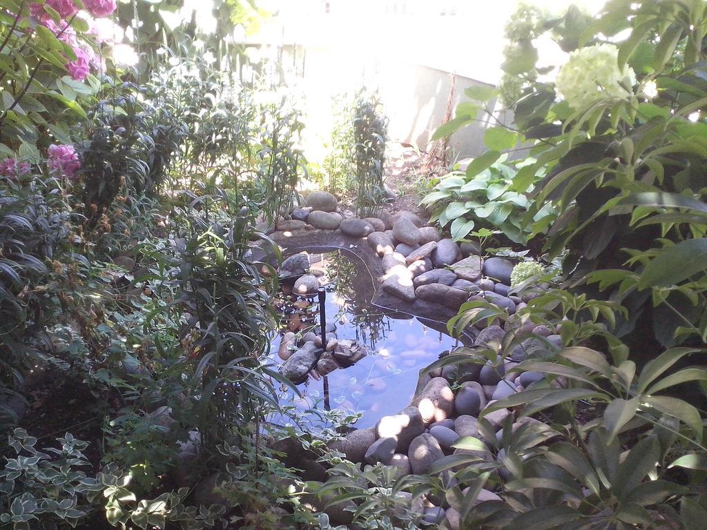 Guest House Krasi Chernomorets Exterior foto